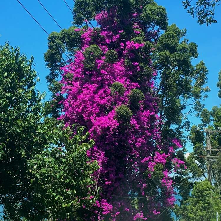 12 Otitori Bay Road Titirangi_22