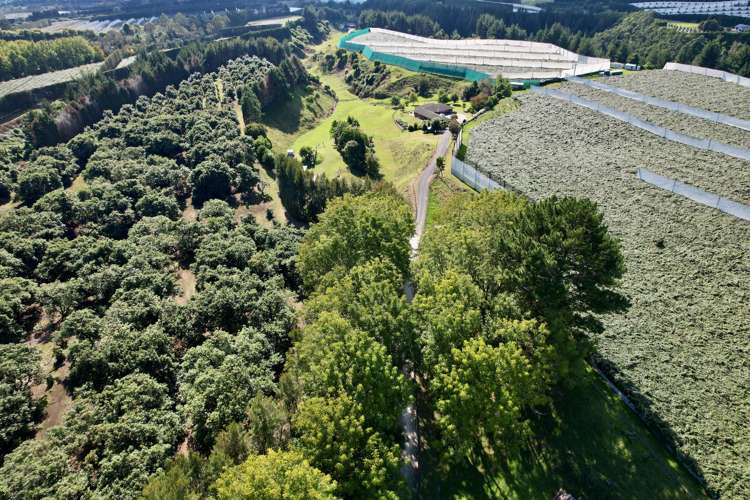 171b Gridley Road Te Puke_13