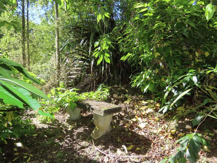 37 Franklyn Street Blacks Point_9
