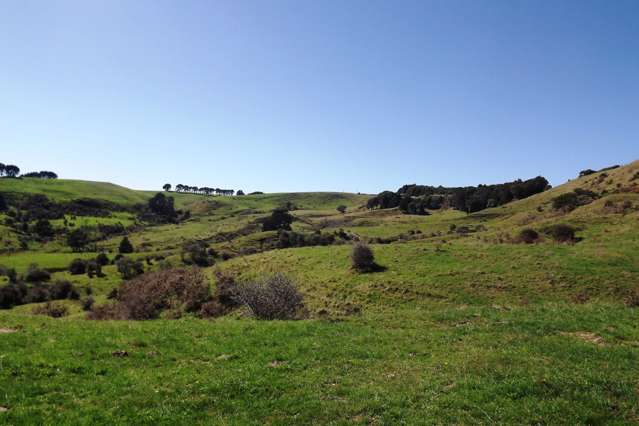 238 Waimaori Road Raglan_4