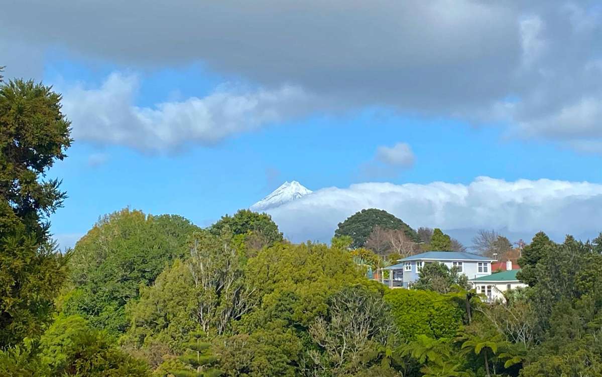 11 Tasman Street_5