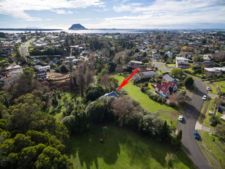 35 Maungawhare Place Otumoetai_19