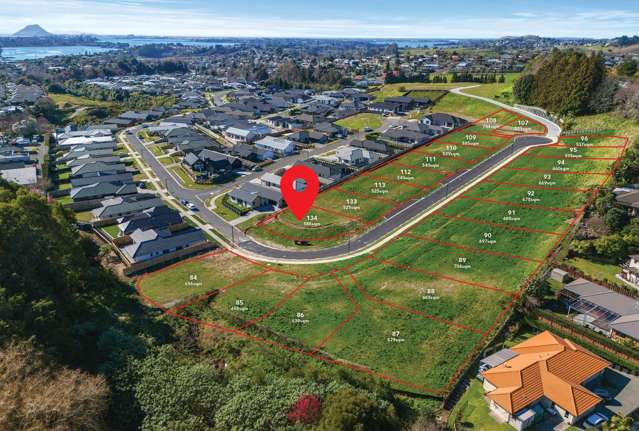 134 Quail Ridge Ohauiti_3