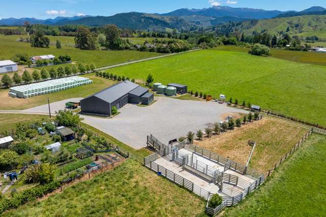 1148 Neudorf Road Dovedale_4