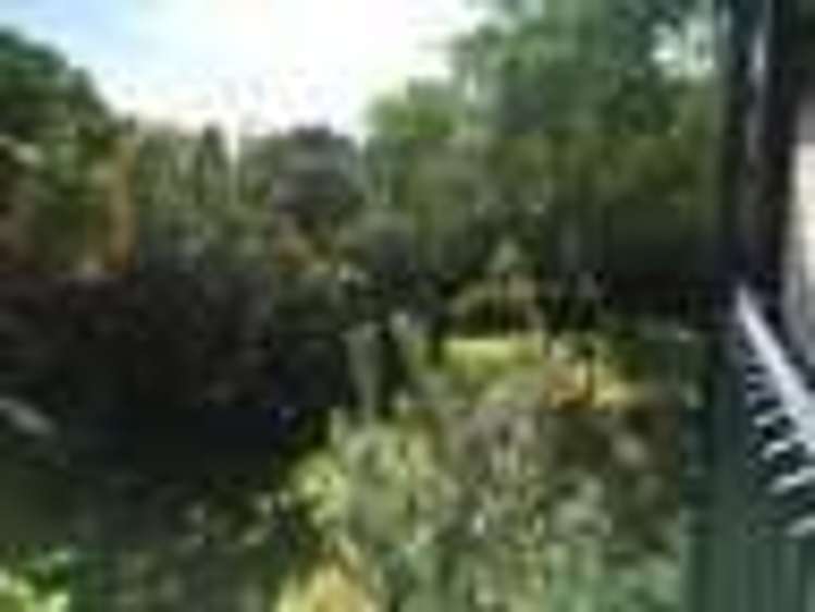 17A Autumn Avenue Glen Eden_10