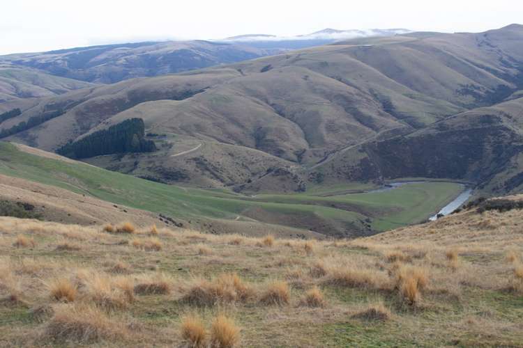 901 Wilden Runs Road West Otago Surrounds_22