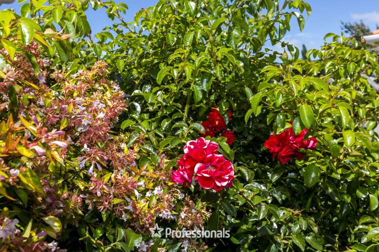 8 Carlow Grove Birchville_24