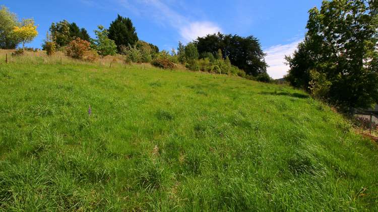 Canna Street Lawrence_6