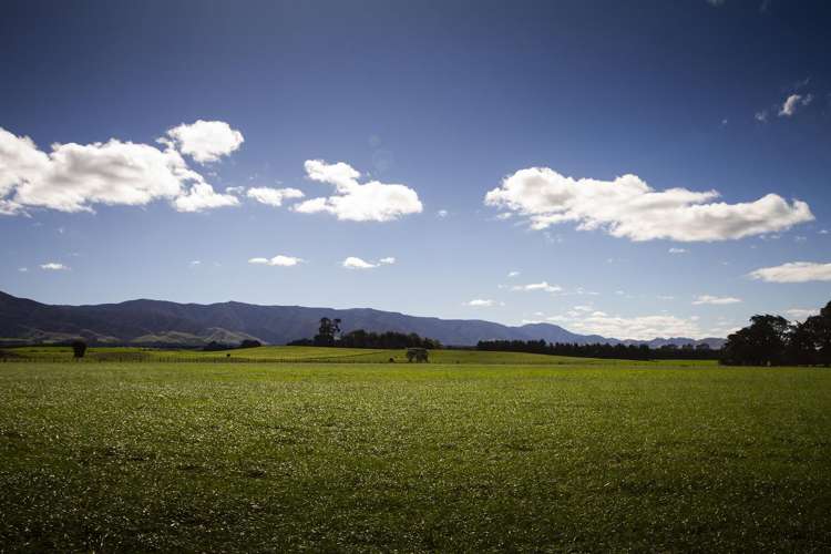 490 Maharahara Road Dannevirke_17