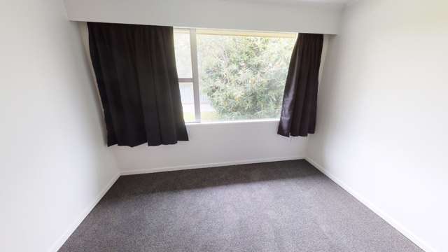 511b Featherston Street Roslyn_4