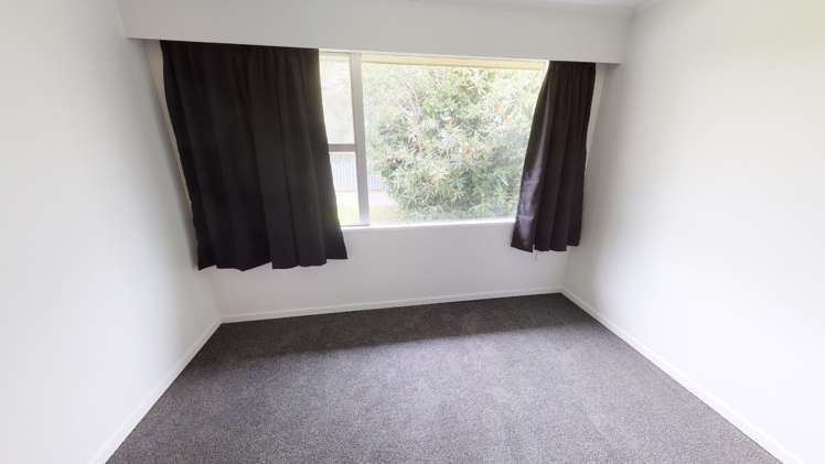 511b Featherston Street Roslyn_4