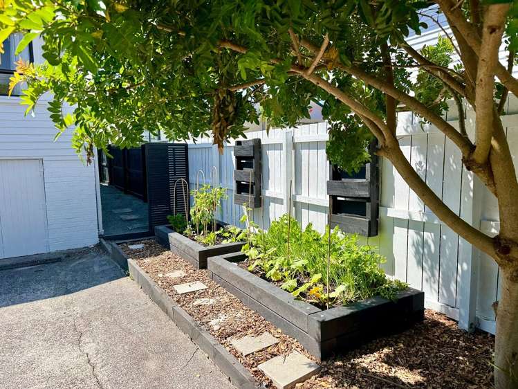32 Rosier Road Glen Eden_3