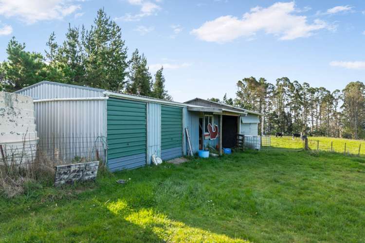760 Esdaile Road Whakamarama_35