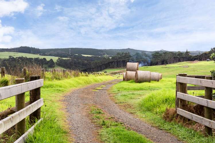 199 Mcpike Road Waimauku_5