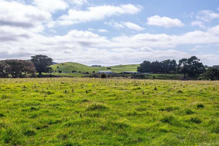 200 Garfield Road Norsewood_23