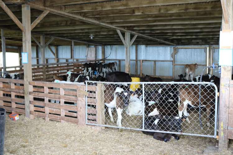 195 Dunn and Cody Road Riversdale_13