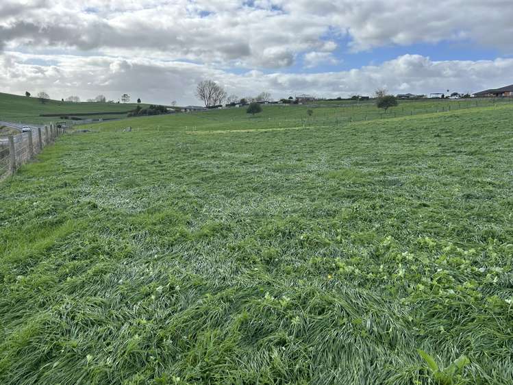 173 Ngahape Road Te Awamutu_8