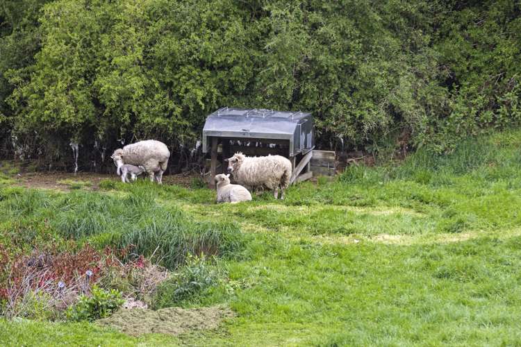 197b Turuturu Road Hawera_27