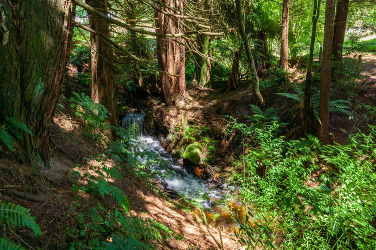 32 Kawautahi Road Owhango_13