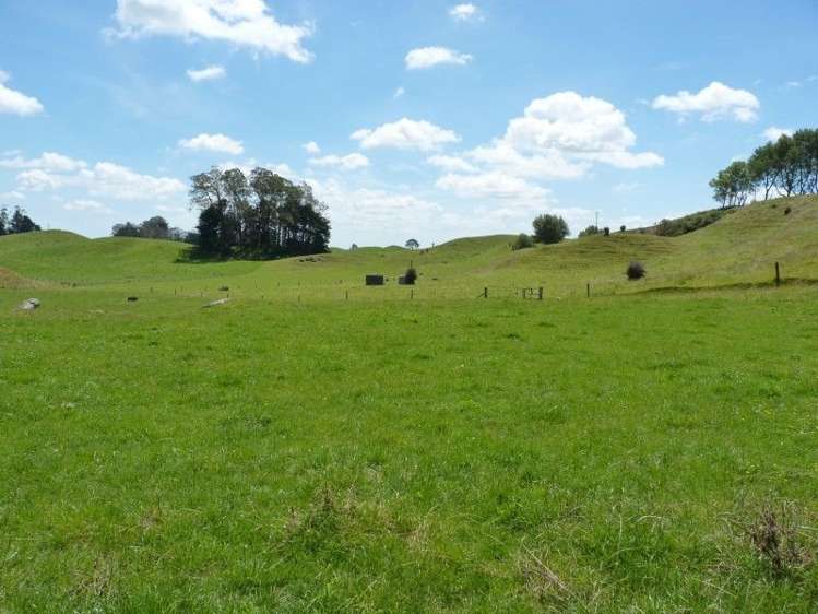 389d Paraonui Road Putaruru_13