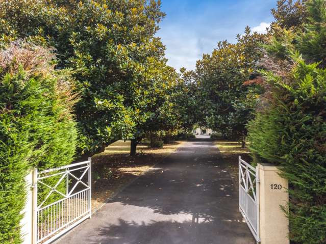 120 Normanby Road Karaka_1