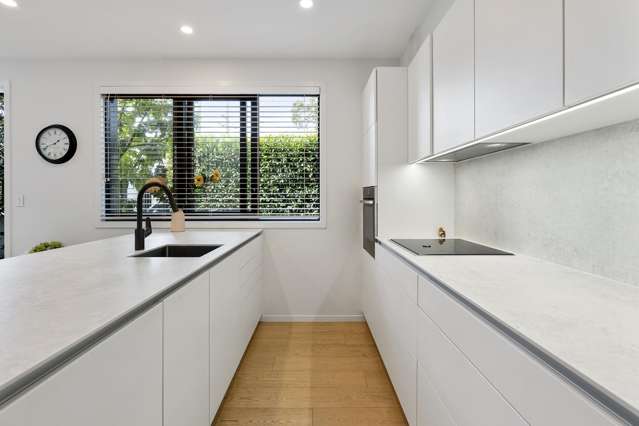 55A Kelmarna Avenue Ponsonby_4
