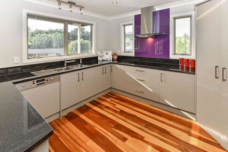 44 Collie Street Hillpark_6