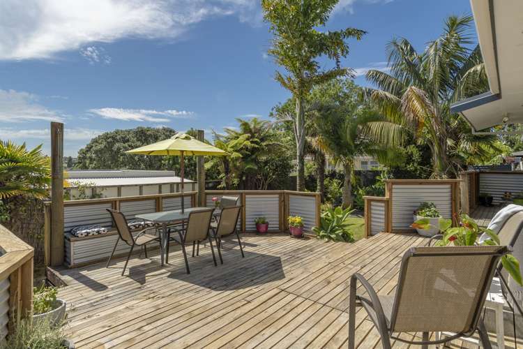 36a Judea Road Judea_17