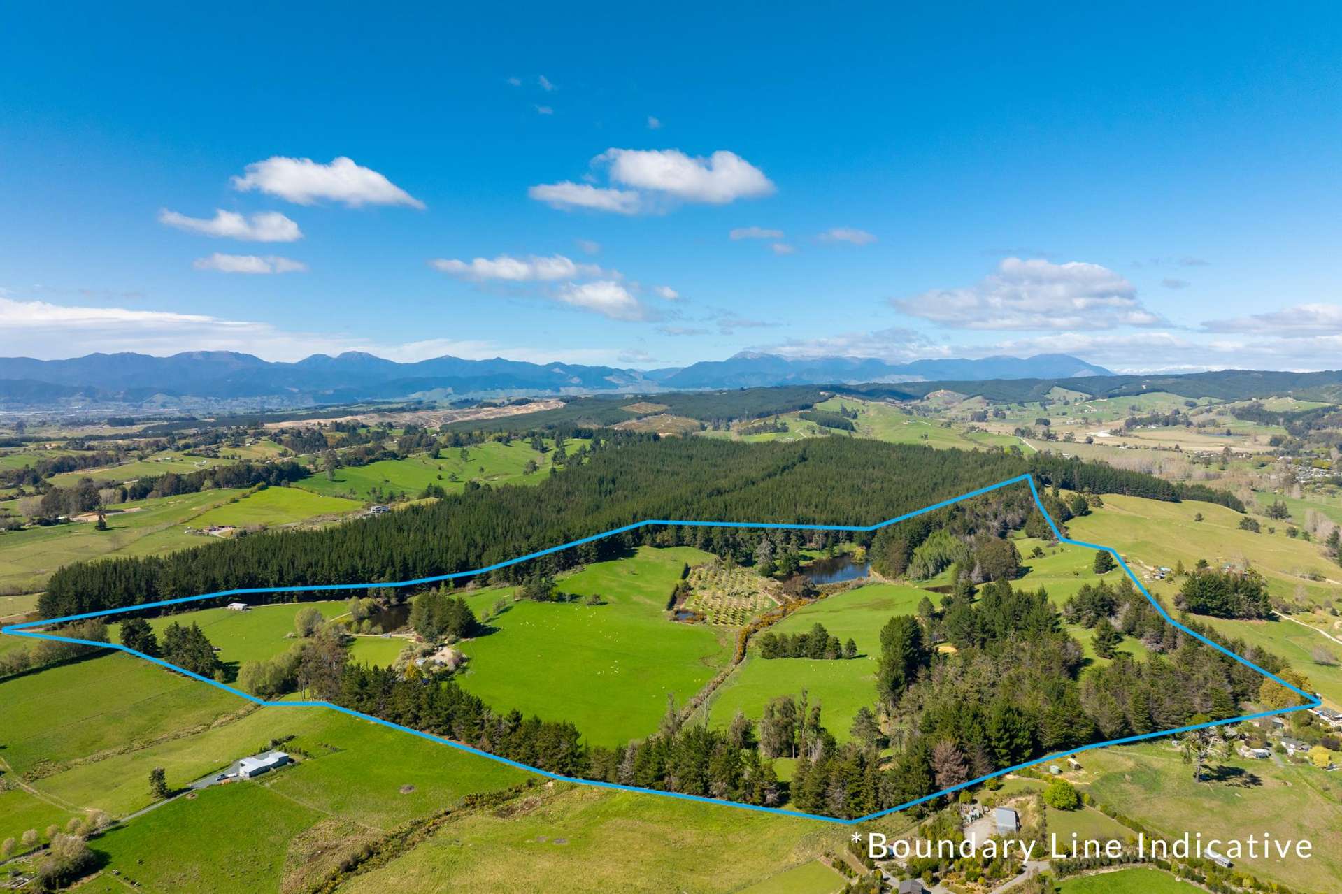 240 George Harvey Road Upper Moutere_0