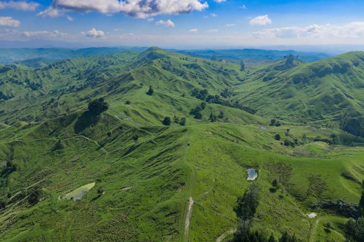 1678 Tiniroto Road Waerenga-O-Kuri_12