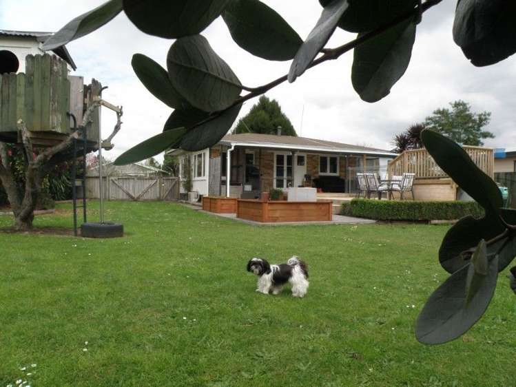 1 Dawson Street Matamata_15