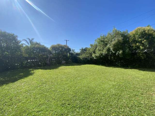 41 Blockhouse Bay Road Avondale_2