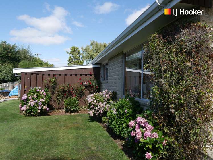 39 Kirkwall Street Palmerston_18