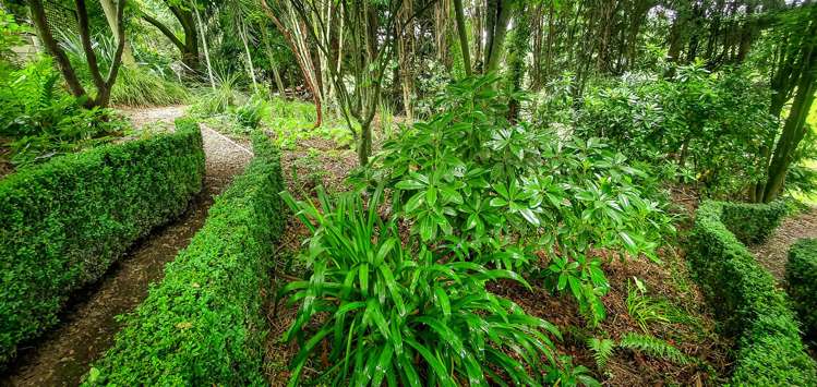 15 Hillview Place Pleasant Point_22