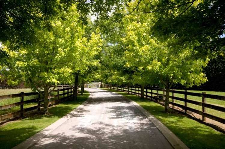 68 Porterfield Road Whitford_19