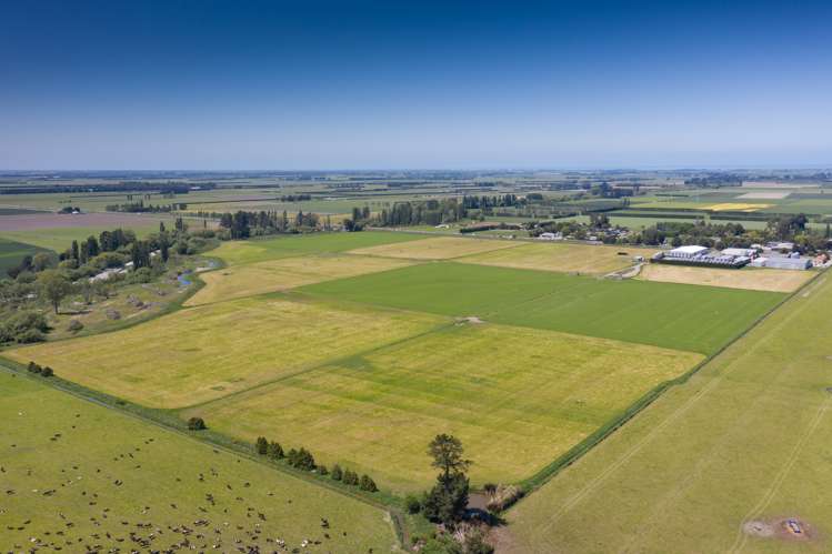 Framptons Road Hinds_11