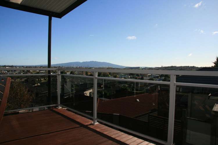 493 Picquet Hill Road Te Awamutu_3