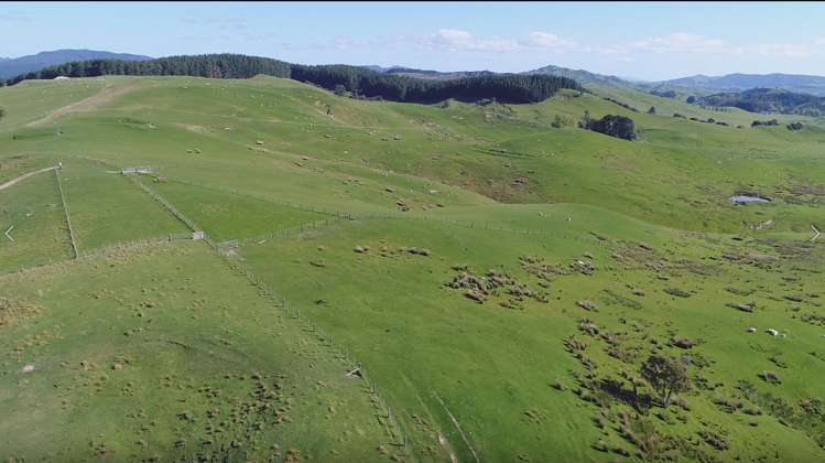 2612 Masterton Castlepoint Road Mangapakeha_18