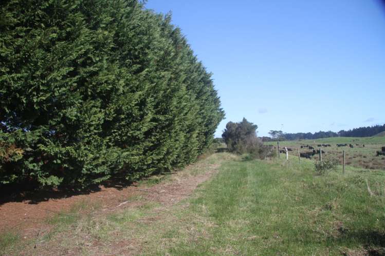 75 Houhora Greens Way Houhora_7