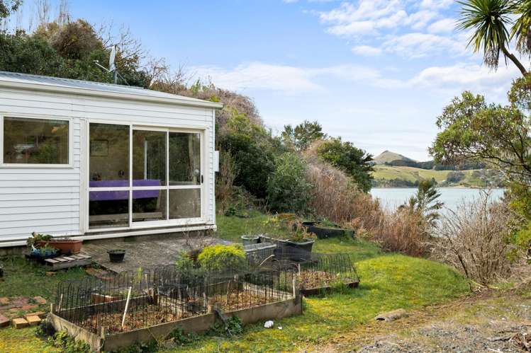 24 Korimako Street Saint Leonards_5