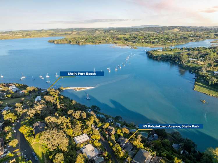 45 Pohutukawa Avenue Shelly Park_32