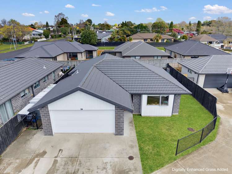 3A Moehau Street Te Puke_19