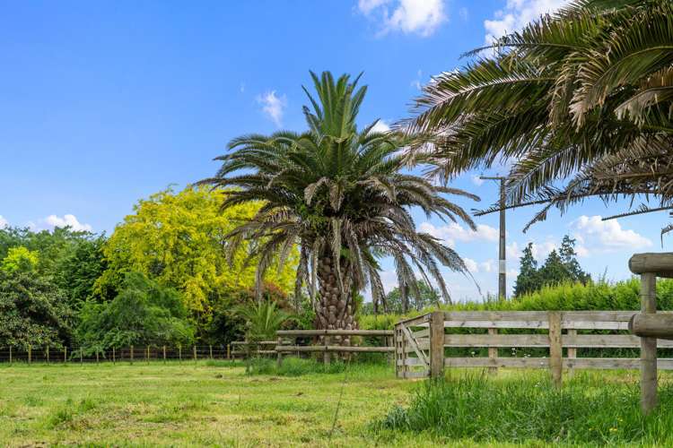 164 Lee Martin Road Tamahere_17