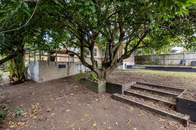 31 Harrier Street Parkvale_14