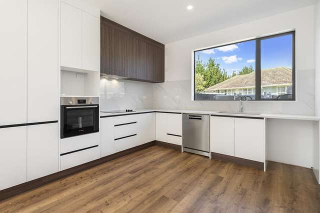 Lot 4,5,6/20 William Blofield Avenue Mount Roskill_4