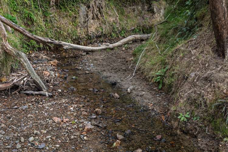 183 Wainui Road Opotiki Coastal_12