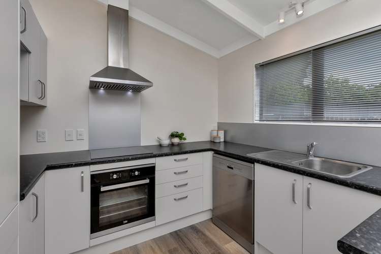 103 Paramount Parade Tikipunga_12