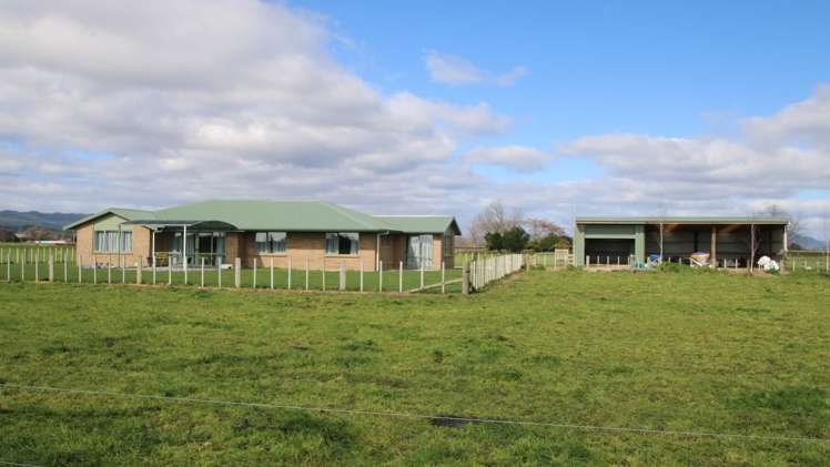98 Mccracken Road Edgecumbe_2