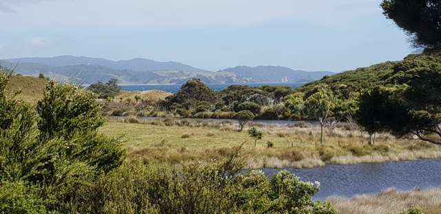 4 Primrose Hill Road Great Barrier Island (Aotea Island)_4