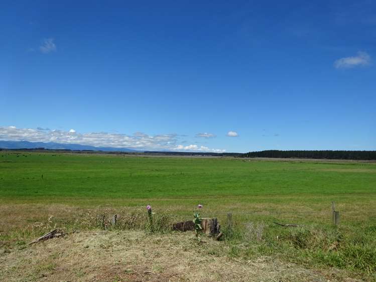 4 Norton Street Foxton Beach_22